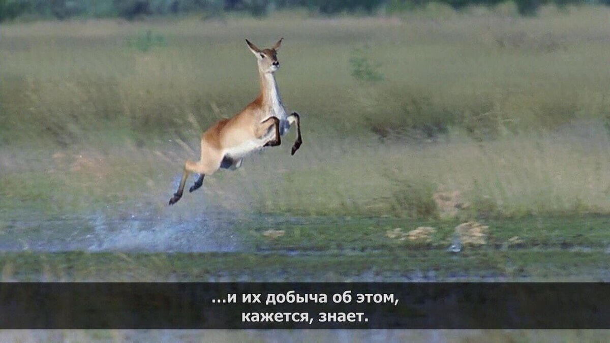 -1-3