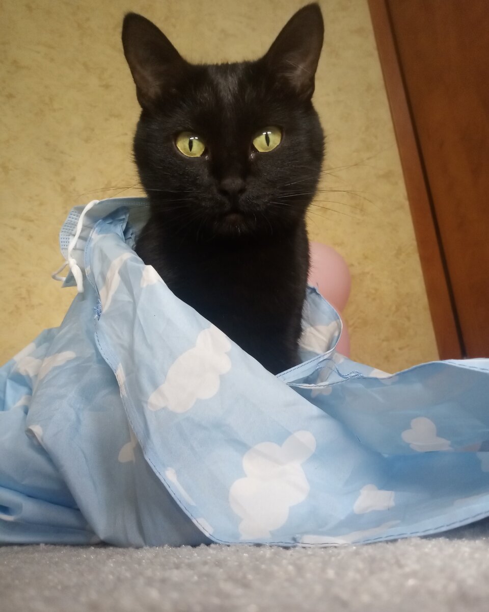 https://instagram.com/black_cattttttttttttttt
