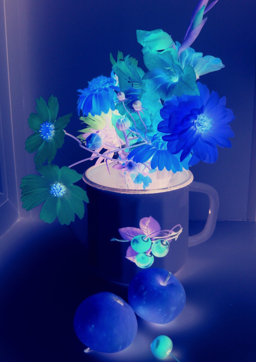 Татьяна Ельники