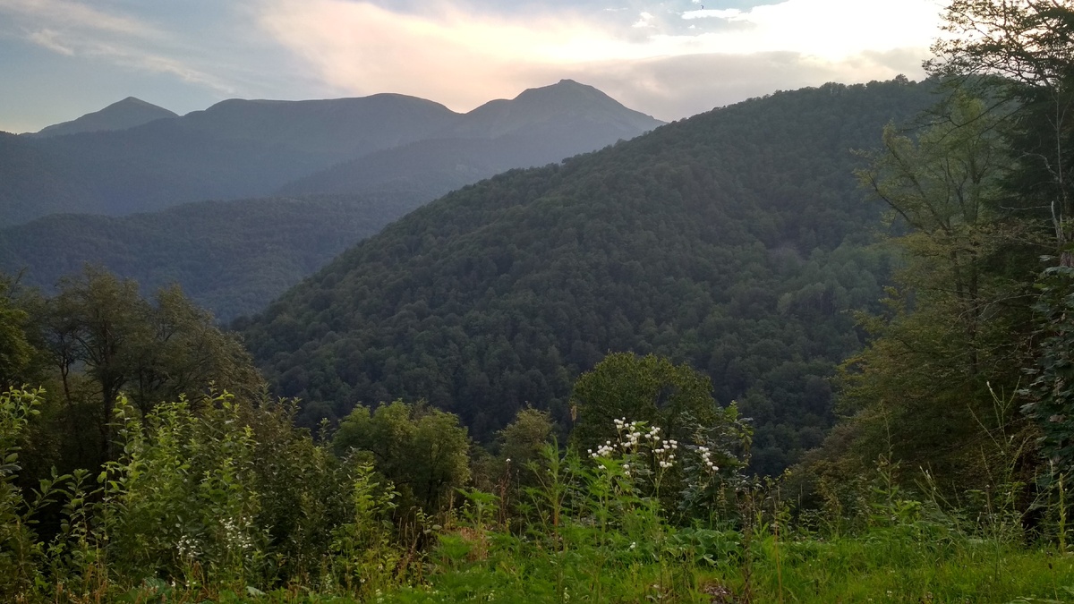 В таких местах на Красной Поляне я медитировала по утрам и занималась йогой