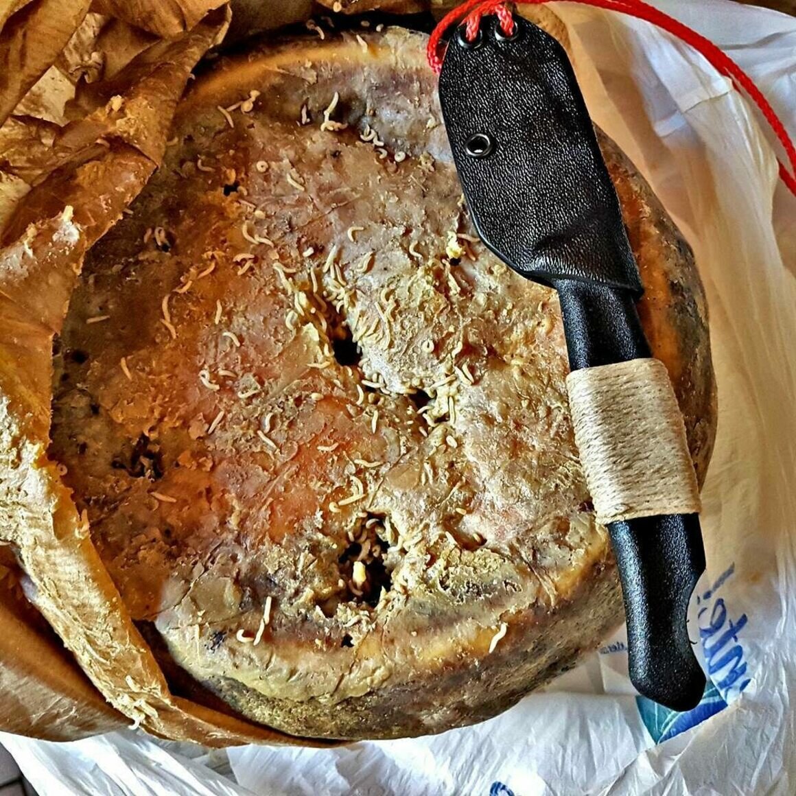 Сыр Casu marzu. Фото с сайта https://www.atlasobscura.com/