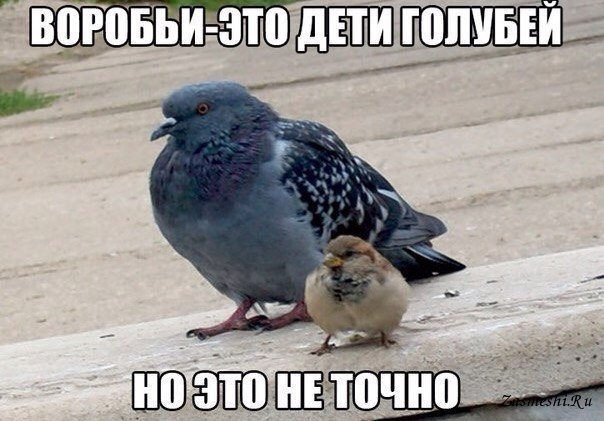 Фото из общедоступных источников