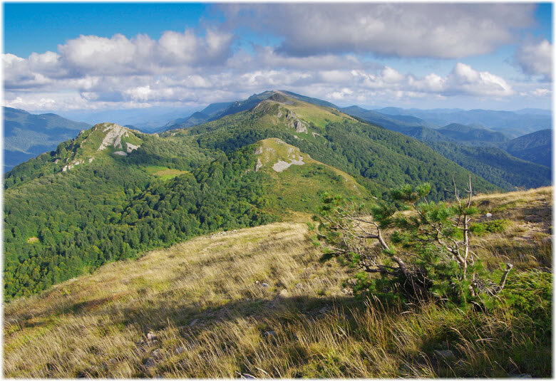 гора Семиглавая  имеет 7 вершин одна из них 1435 метров над уровнем моря