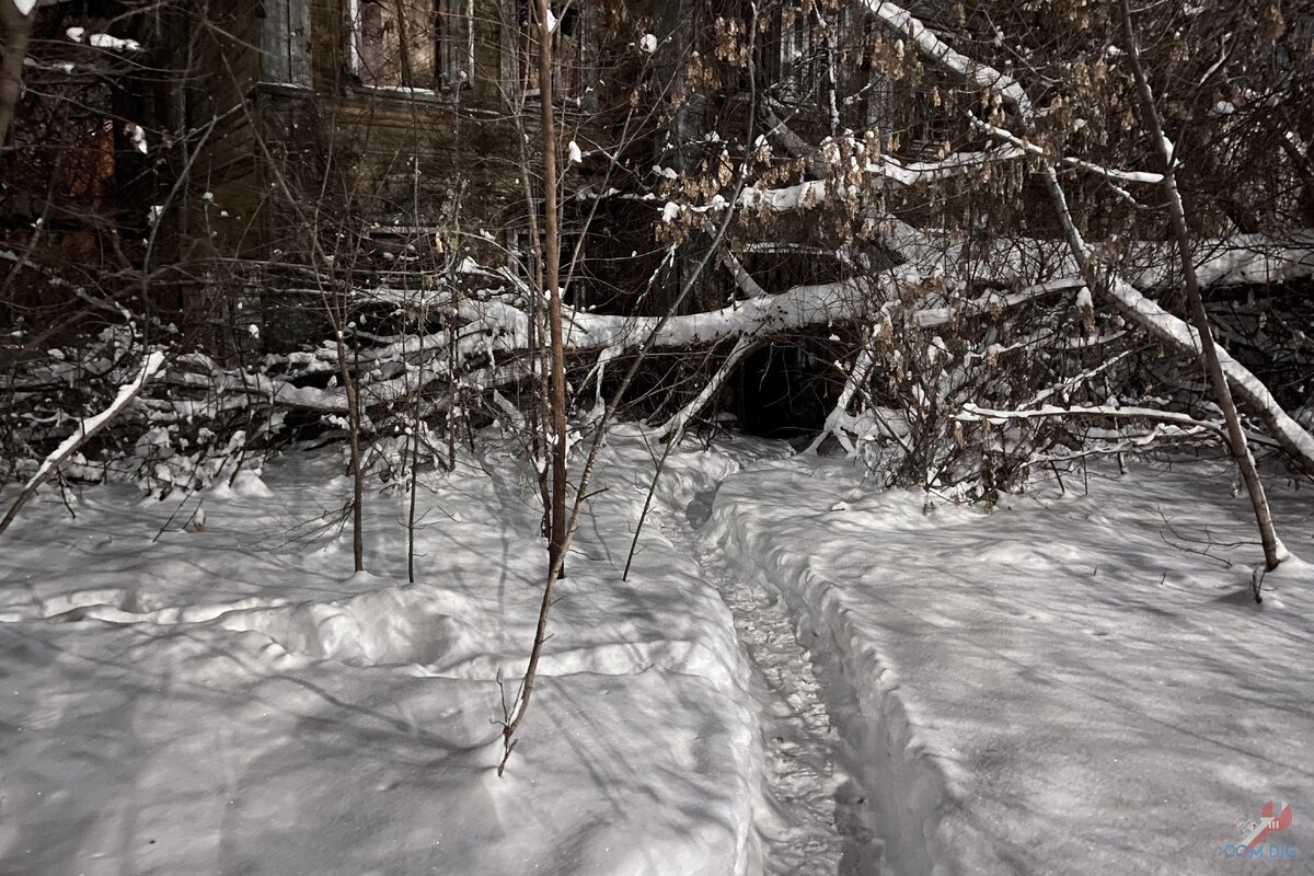 Натоптанная тропа. 