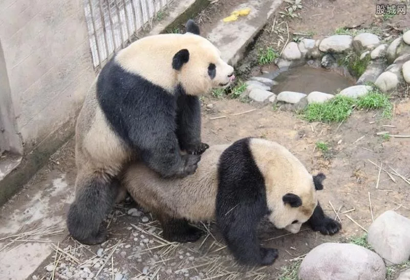 ���� ������� ����������� � ��������� � ���� � ����� ������ ��������, ������ � ��������� ���� ����� ���������� ������������� ����������, ���� �� ���������. 