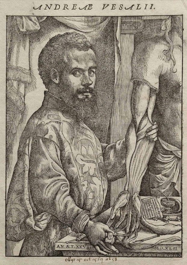 Портрет Везалия. De humani corporis fabrica.