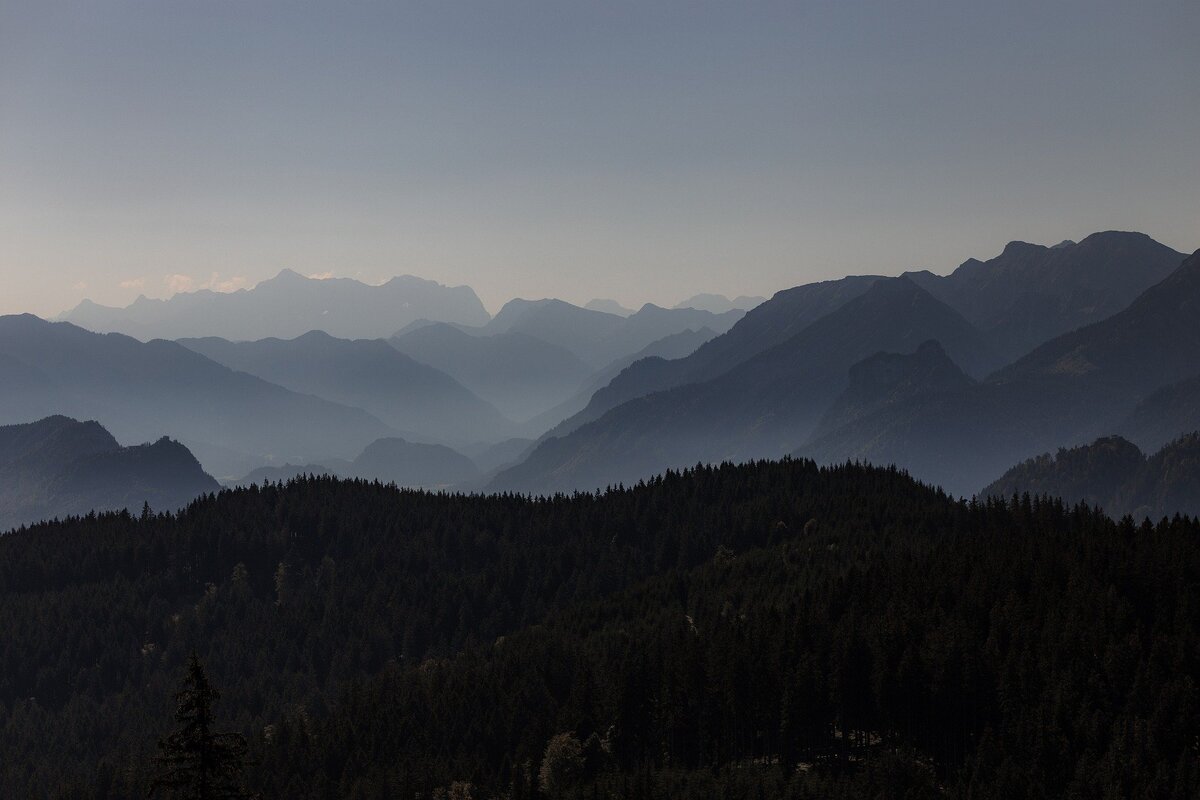 Изображение <a href="https://pixabay.com/ru/users/tinaundmaxim-20334503/?utm_source=link-attribution&amp;utm_medium=referral&amp;utm_campaign=image&amp;utm_content=6029596">Stephan und Tina Forstmann</a> с сайта <a href="https://pixabay.com/ru/?utm_source=link-attribution&amp;utm_medium=referral&amp;utm_campaign=image&amp;utm_content=6029596">Pixabay</a>