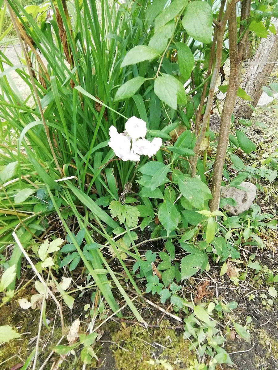 август, почти осень