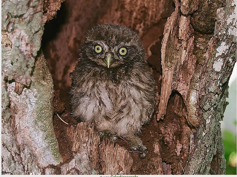 7-ая чашка кофе однозначно была лишней... 