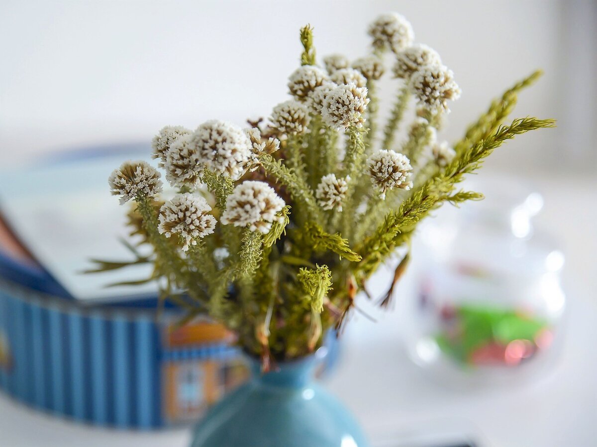 Букет сухоцветов. Фото с сайта pixabay.com