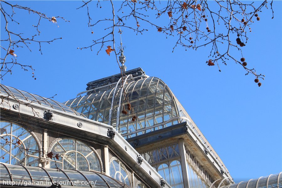 Хрустальный Дворец (Palacio De Cristal) в центре парка Ретиро в Мадриде. Фото автора. Листайте галерею, чтобы увидеть больше