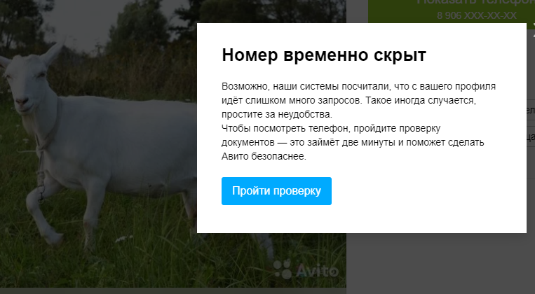 Вот это с компьютера, а с телефона то же самое, только про невозможность позвонить.