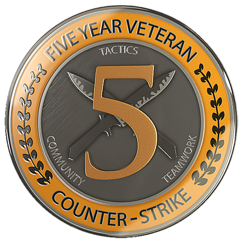 Медаль за 5 лет службы. CS:GO
