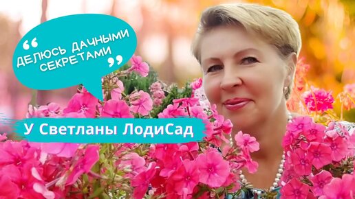 Светлана Лодисад