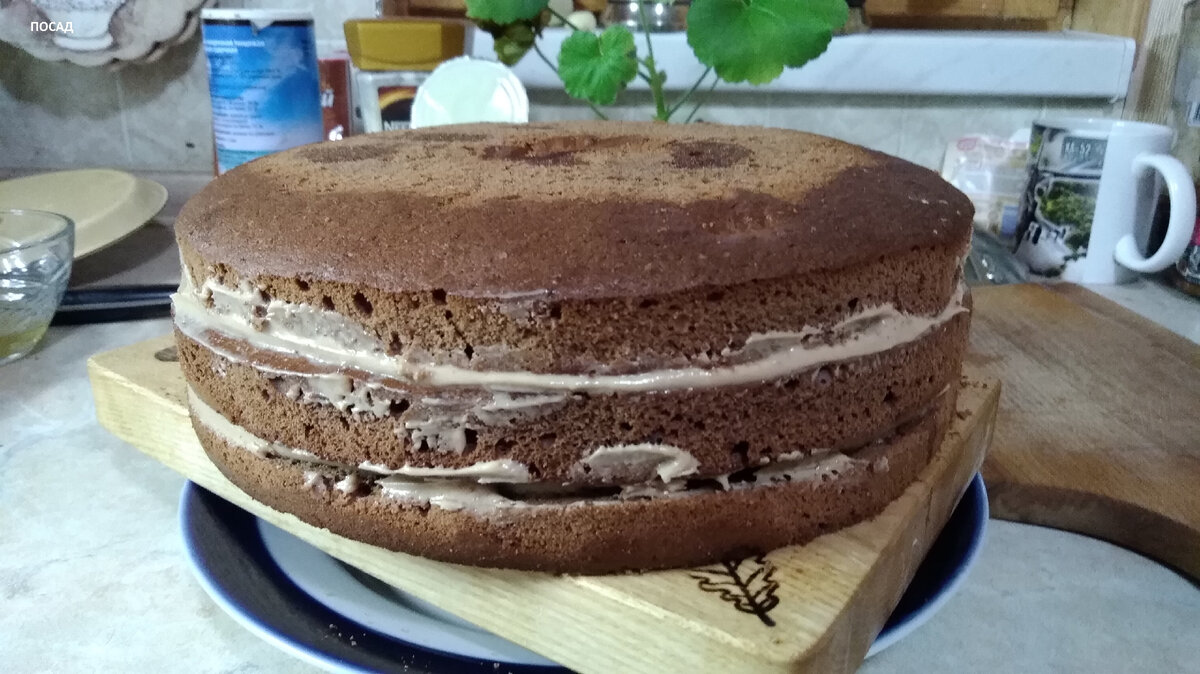 Заготовка для торта осталась на даче.