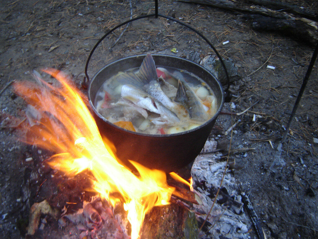 Фото из открытых источников.