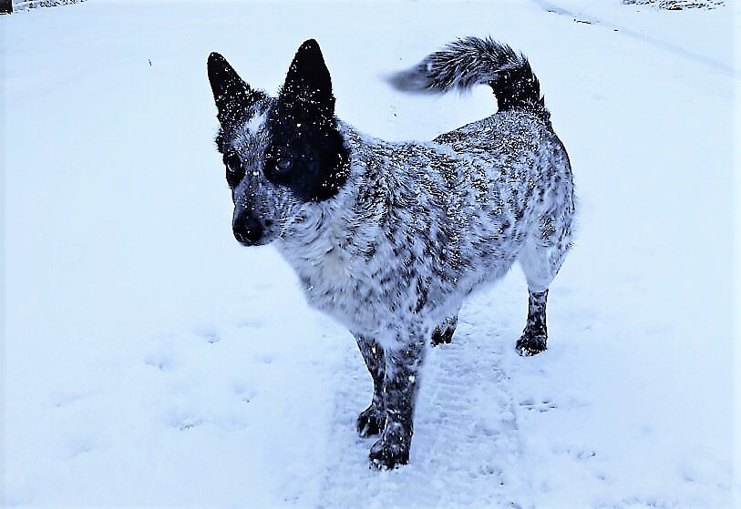 Фото автора канала ***Мама Лора***