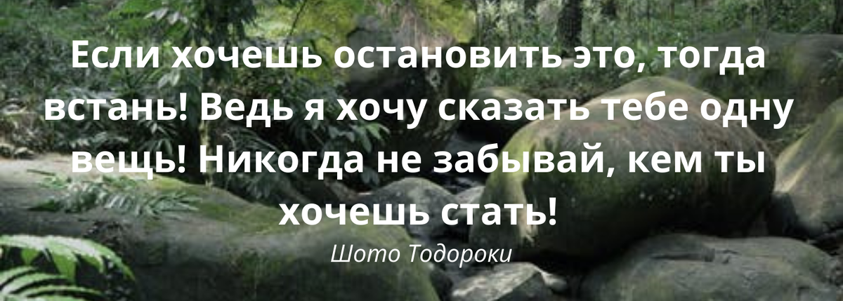 Мотивация, цитата. 