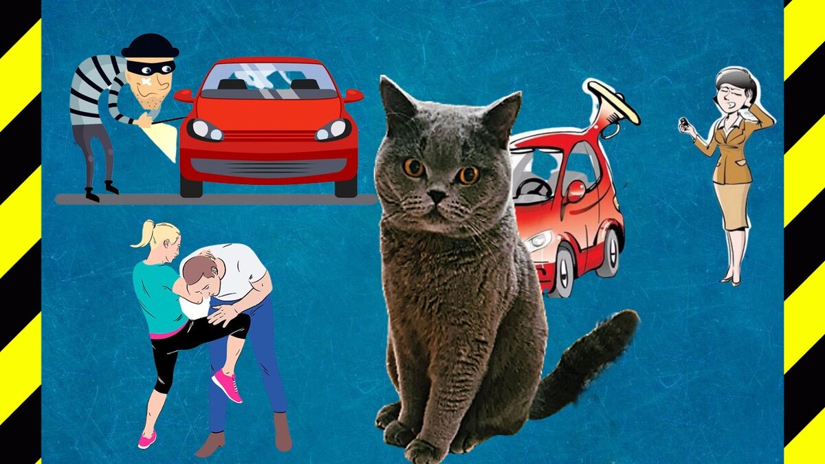 Вор, самозащита, сигнализация и кот Лёня