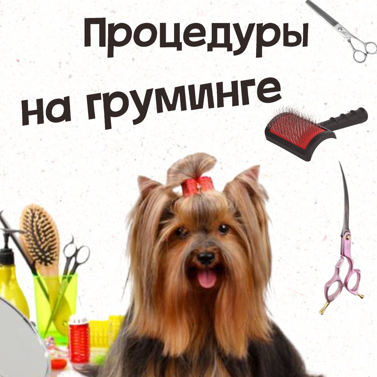 Хотите узнать, какие процедуры мы можем сделать на груминге? 
А вот и они✨👇

✨ Гигиенический комплекс.
В него входит мытьё вашего любимца, сушка + укладка шерсти, чистка ушек и стрижка когтей.

✨ Стрижка.
Если ваша собачка заросла, мы сделаем из него такого красавца, что после груминга даже вы его вряд ли узнаете🤗

✨ Экспресс-линька.
Шерсть везде и повсюду… В воздухе, на одежде и даже в тарелке… Знакомо? Тогда экспресс-линька - это для вас! Профессиональными инструментами мы вычешем вашего питомца. Хоть это и не избавит от линялой шерсти насовсем, но зато клочков станет гораздо меньше!

✨ Тримминг.
Если ваш питомец жесткошерстный (как, например, цвергшнауцер и вестхайленд), то его шерсть не стригут, а выщипывают пальцами и специальными инструментами. Дело в том, мёртвый остевой волос остается в луковицах и препятствует нормальному росту и обновлению шерсти. Поэтому отмершие шерстинки нужно удалять! Иначе пес будет выглядеть взъерошенным и неопрятным.

✨ Озонотерапия.
Такая процедура - это лечение озонокислородной смесью, которая уничтожает бактерии и грибки.
 Если у вашего питомца, сухая и ломкая шерсть,шелушащаяся кожа, перхоть, выпадение шерсти на фоне аллергии, алопеция, оставленный иммунитет, то дерматолог, скорее всего,отправит вас к нам на озонотерапию!

✨ Креативный груминг 🌟🤪🎷
Такую процедуру можно назвать отдельной ступенью творчества 🤗🤗🥰
Можем покрасить вашему шпицу хвостик в розовый цвет, а можем сделать мопсу модный леопардовый окрас🔥👏
Если вы творческий человек и мечтаете увидеть шерсть своего питомца в необычной расцветке, то добро пожаловать на креатив🔥👏

А какие процедуры подходят вашим любимцам? Пишите в комменты 👇