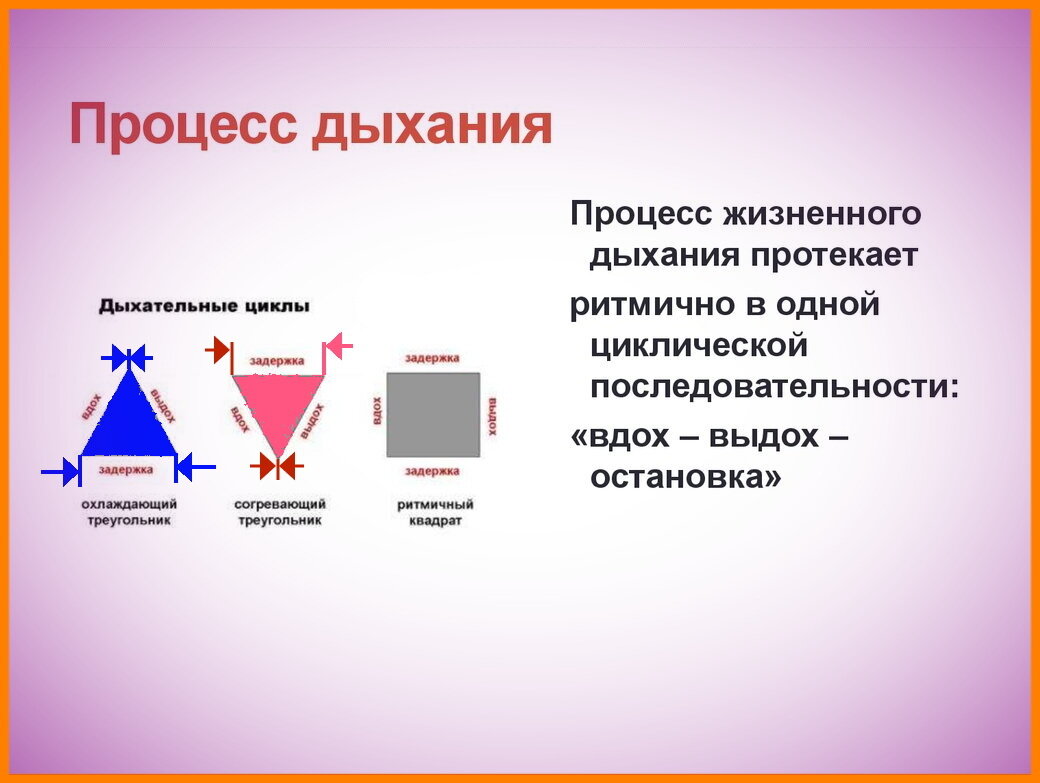Дыхание может стимулировать одну из уравновешивающих систем симпатическую или парасимпатическую, процессы возбуждения и торможения...