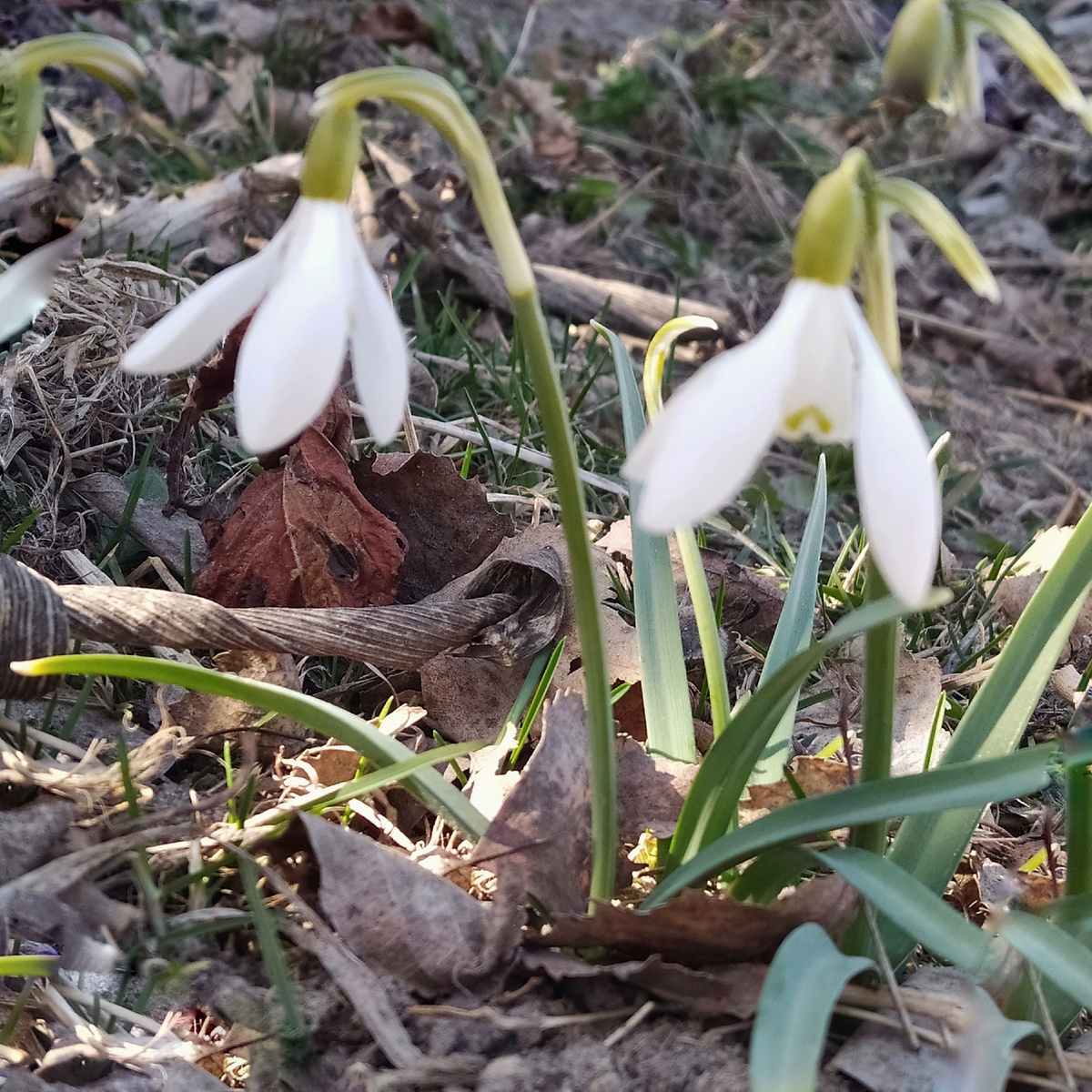 Фотография после обработки 