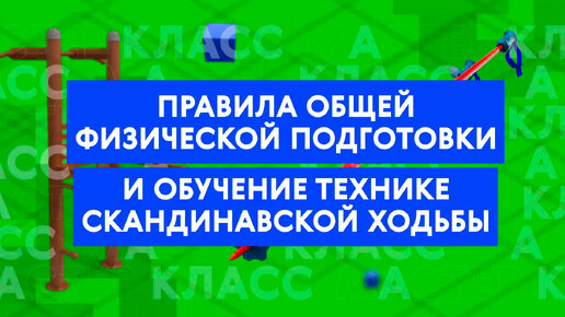 Мастер-класс: техника скандинавской ходьбы и правила ОФП