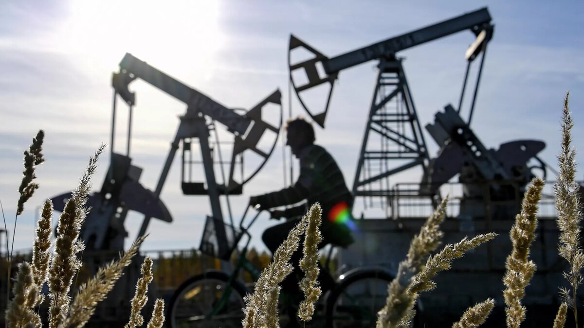 Нефтяные качалки неподалеку от Ямашинского сельского поселения в Альметьевском районе Республики Татарстан. © РИА Новости / Максим Богодвид