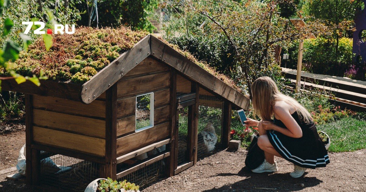 Проект "Сад у белых кур"