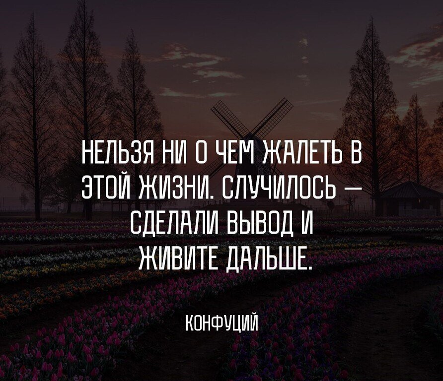 Жизнь происходит из жизни автор. Жалею цитаты. Нельзя жалеть о том что сделано. Сделал выводы и живи дальше. Я не жалею цитаты.