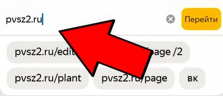 Вбиваем в поисковую строку сайт pvsz2.ru
