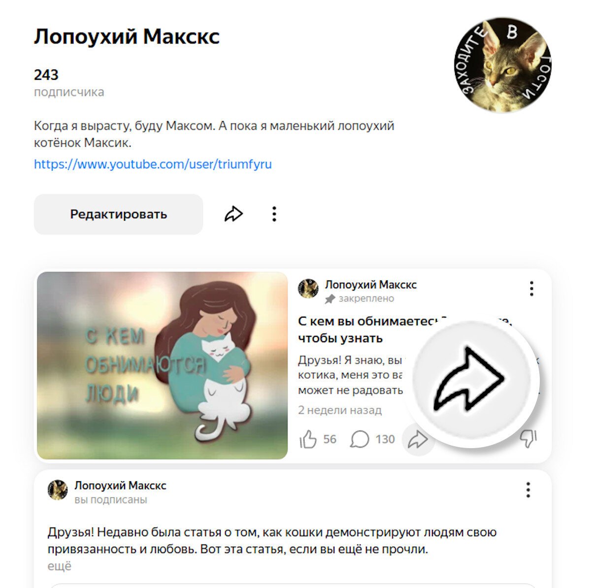 Правила использования «ВКонтакте»