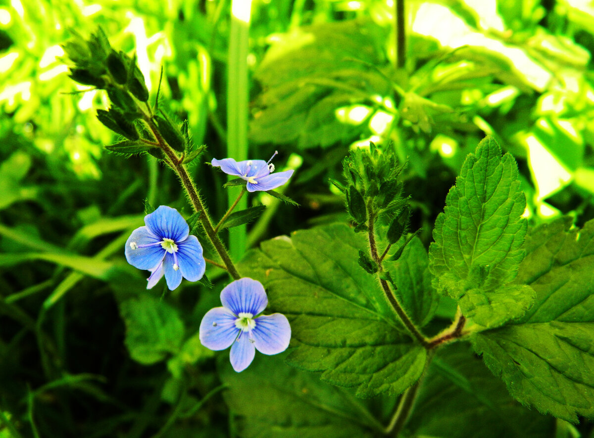 фото автора канала