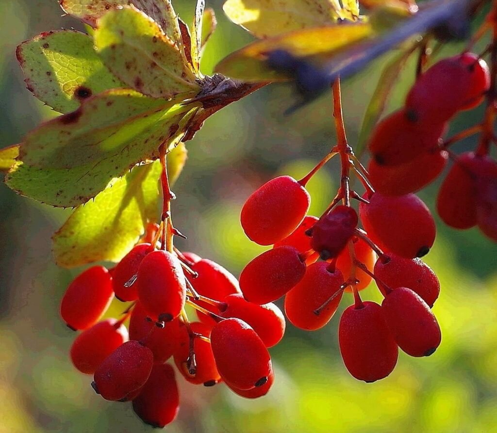 Бутербродов123