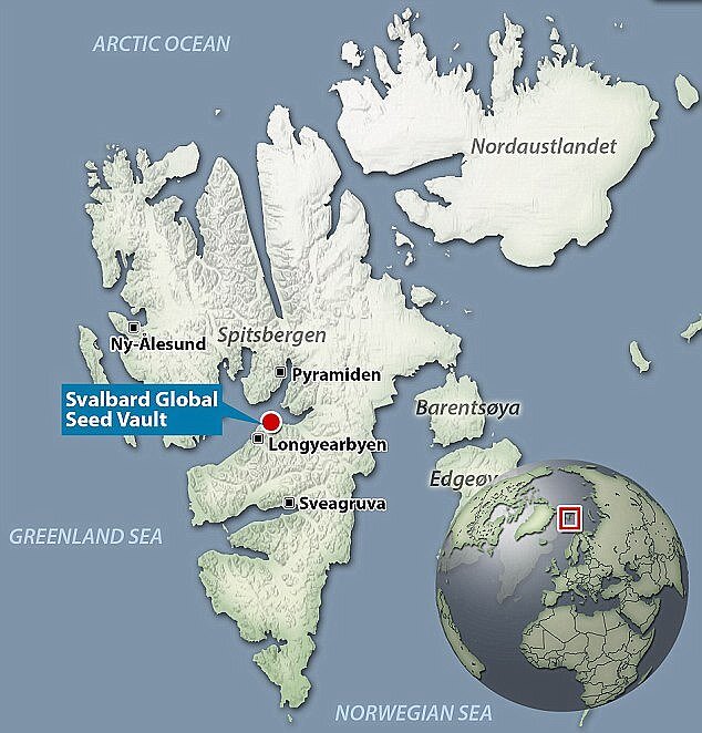 Из открытого источника. 