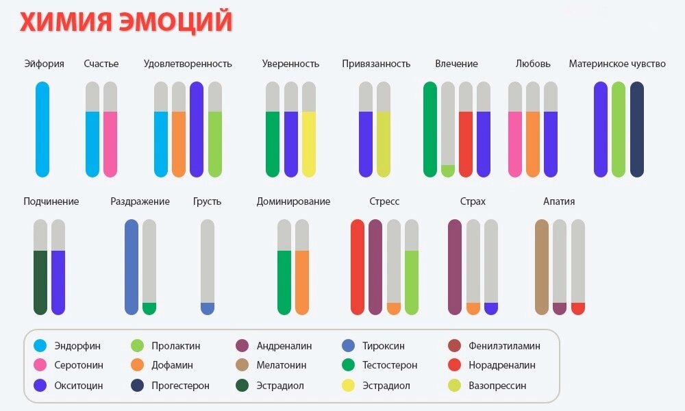 Изображение, конечно, условное, но для формирования общего представления вполне подходит 