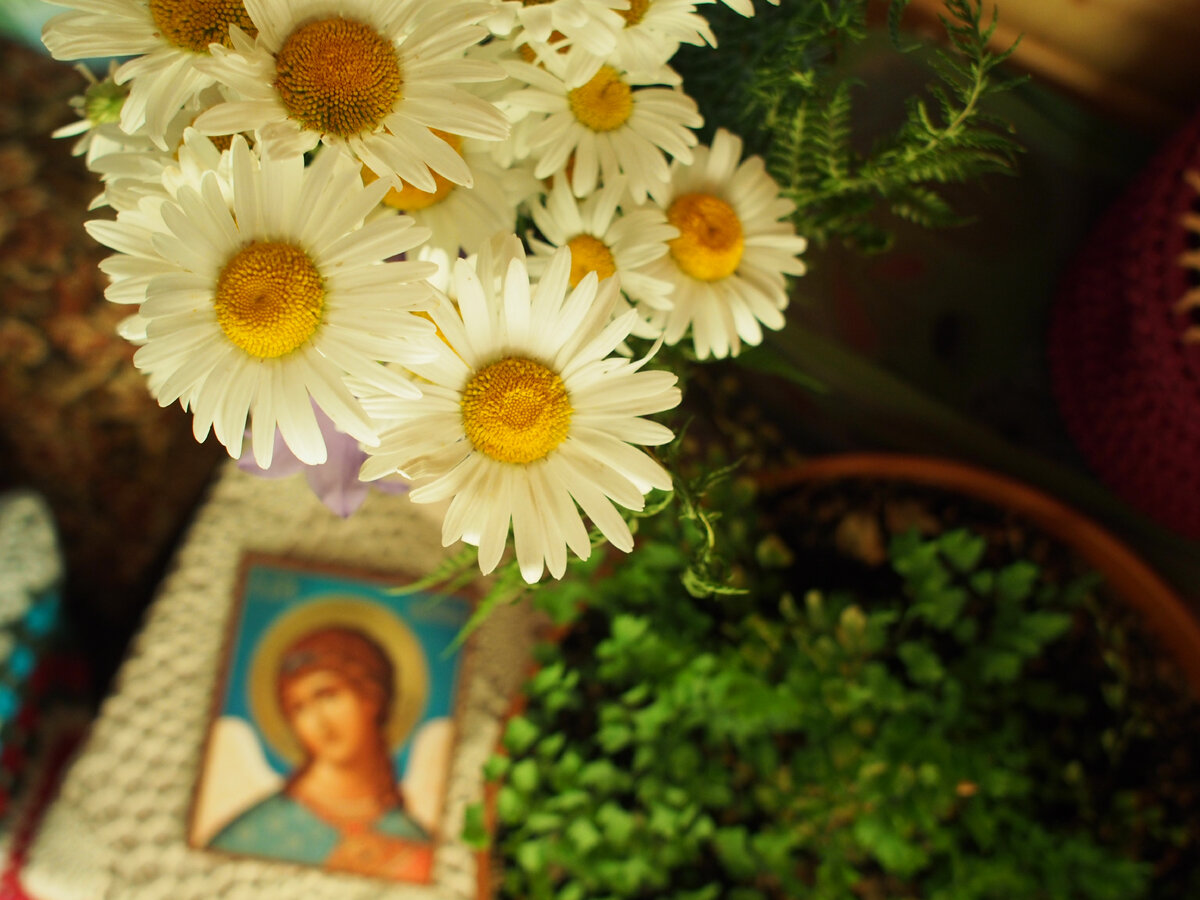 Про летние холода, без которых не бывать богатствам лета... 34 фото ...