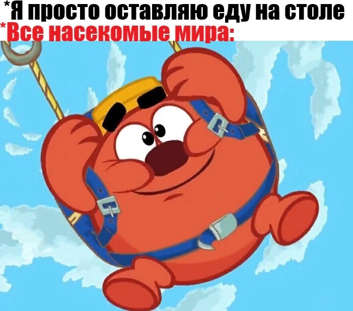 Никелодеон Kikoriki. Kikoriki Nickelodeon.