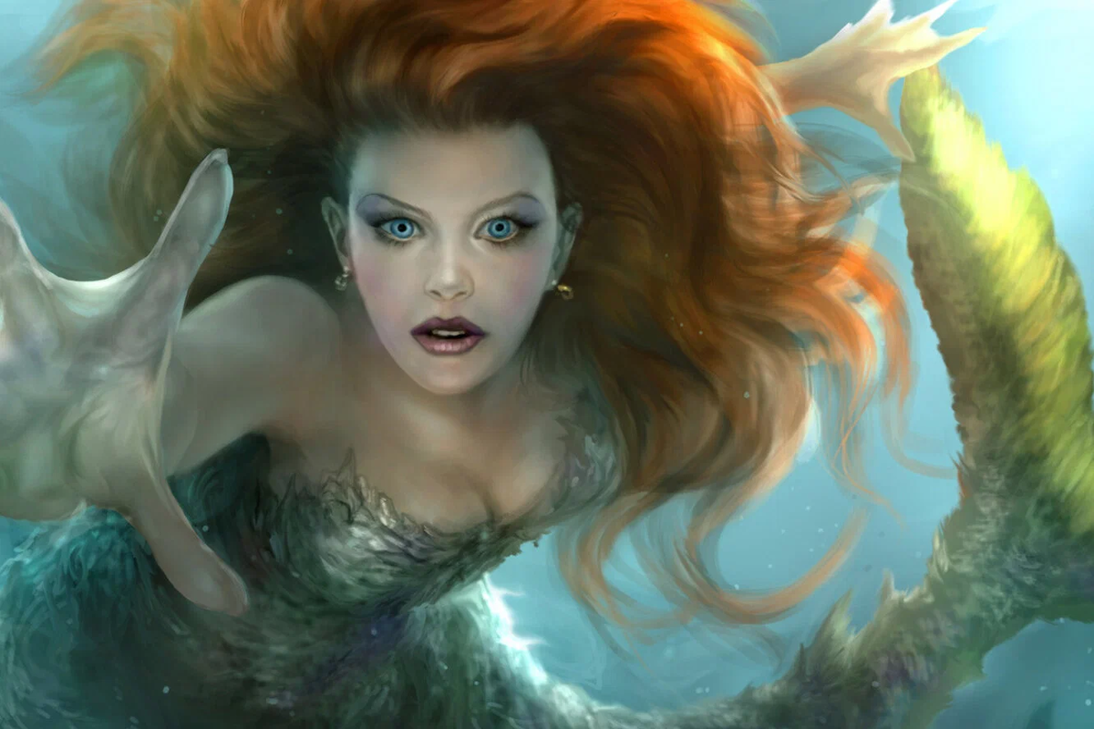 картинка из интернета 