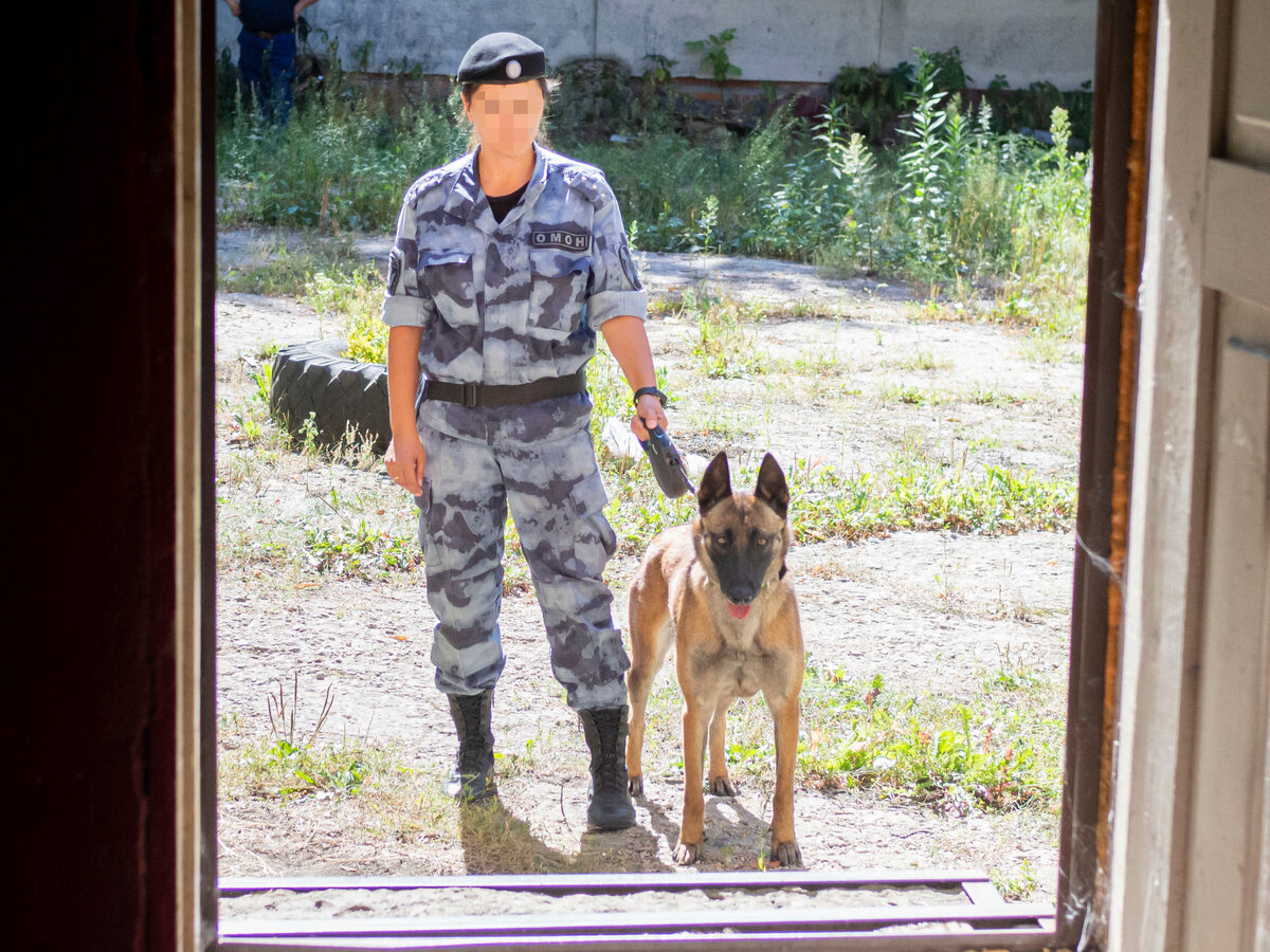 Омон с собакой. Омон с собакой. Кинологи ночь. Омон с собакой. Кинолог омон.