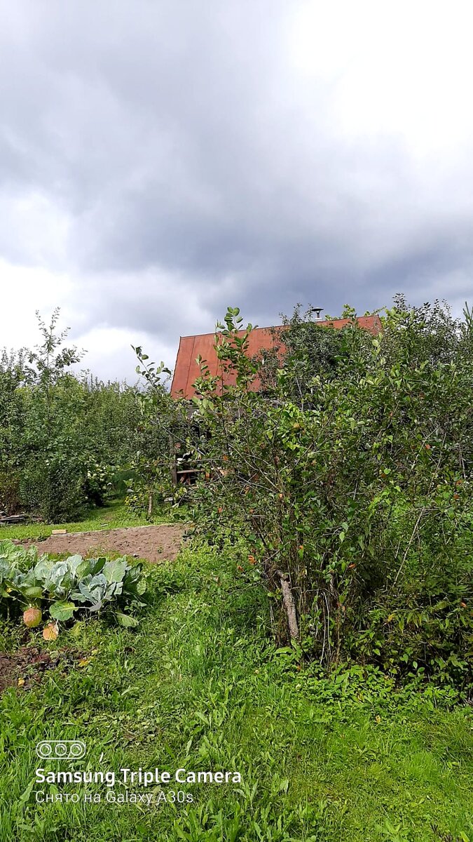 Фото автора.