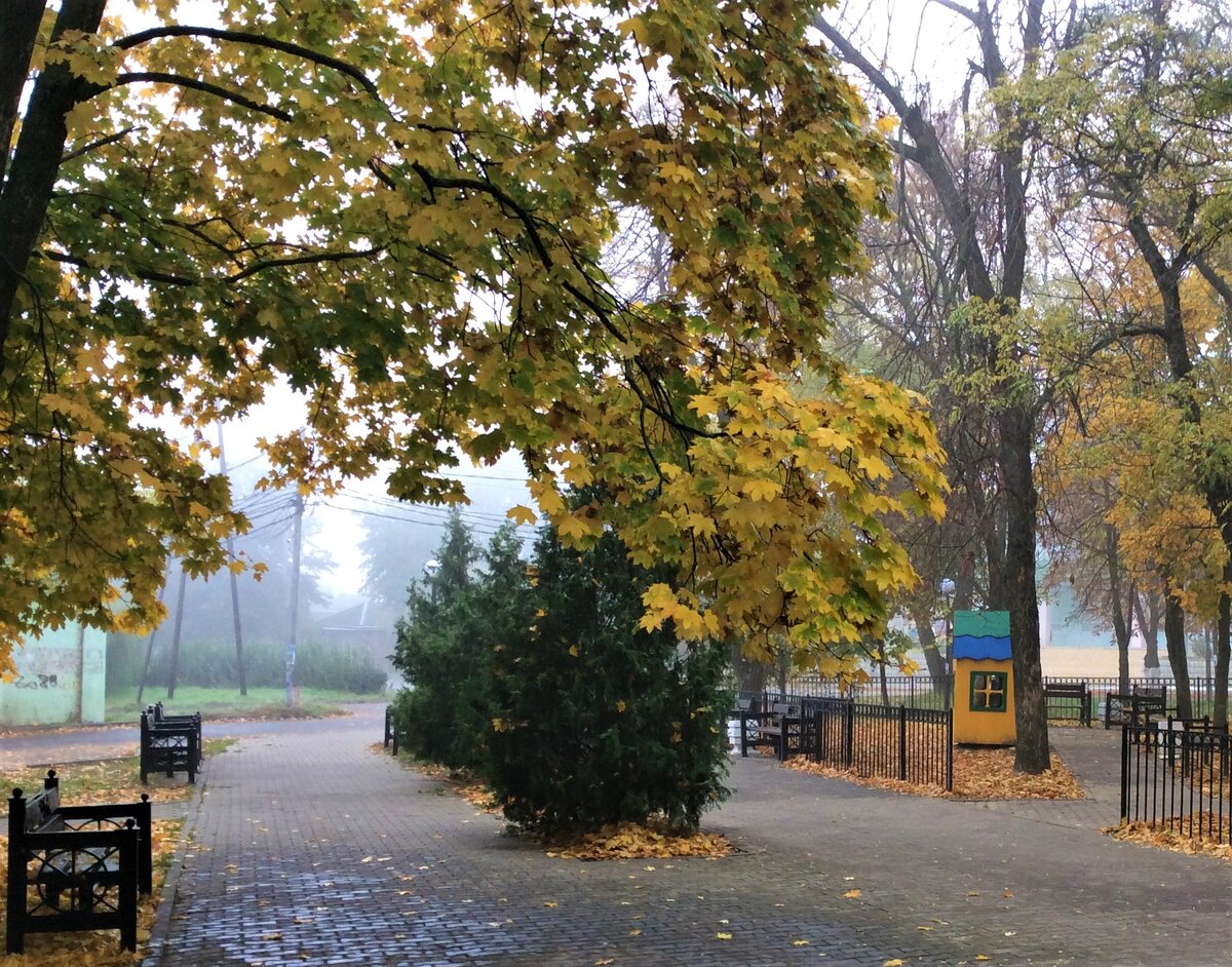 Город проявляется.