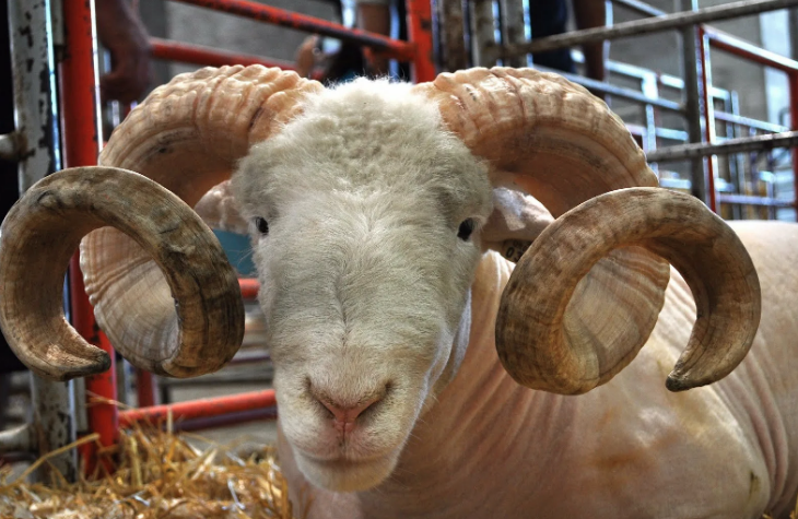 Учимся, играя