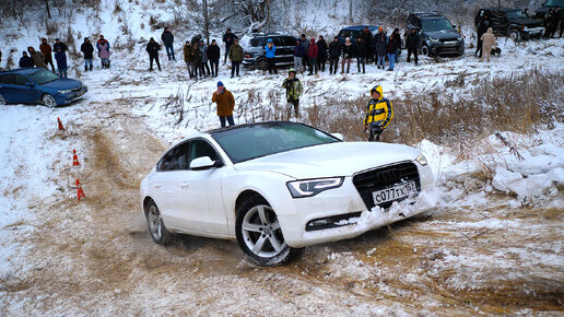 МАЖОР на AUDI A5 против бедолаги на Subaru Impreza. Едут на все ДЕНЬГИ