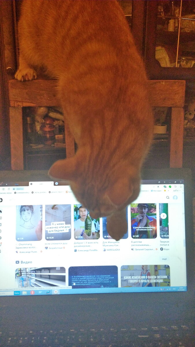 Личное  фото.