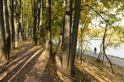    Осень в городе ©Александр Манзюк РИАМО