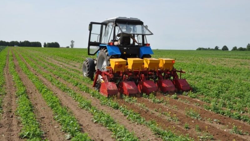 Современный трактор в Шелковском районе Чечни поставленный из России.