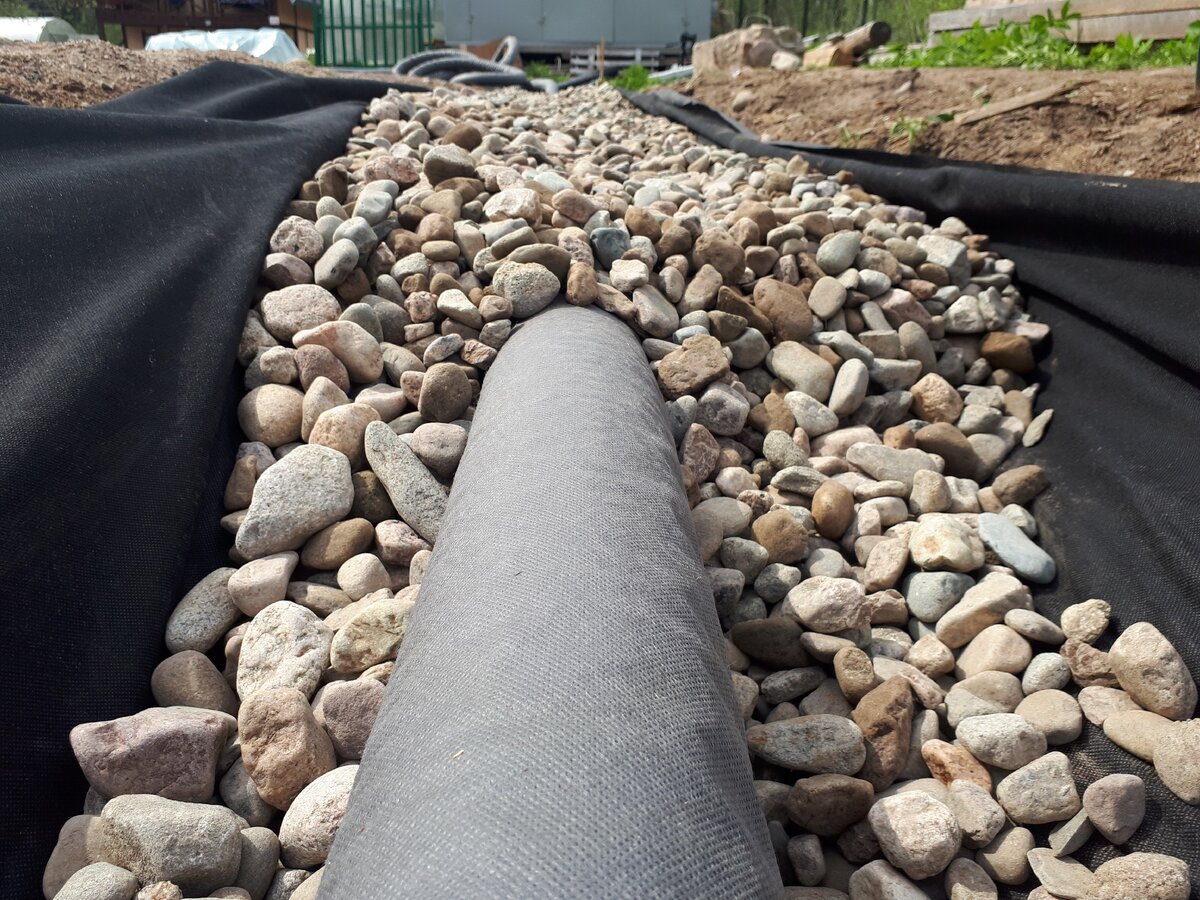 Предотвращение появления нежелательных грызунов