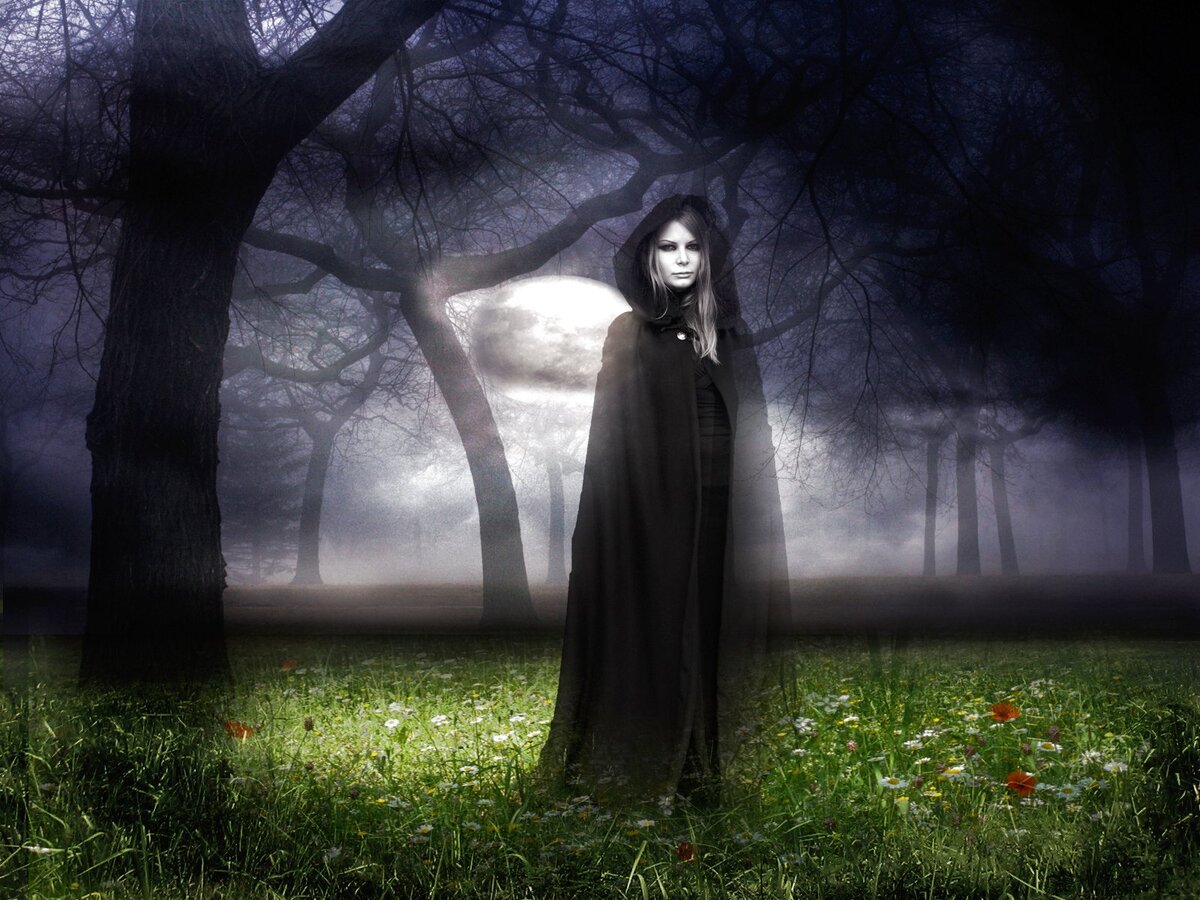 Фото из  Яндекс-картинки