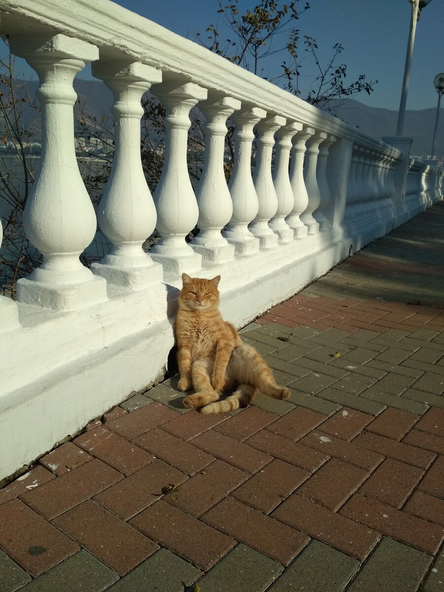 из личного архива